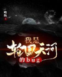 我是轮回天河的bug封面